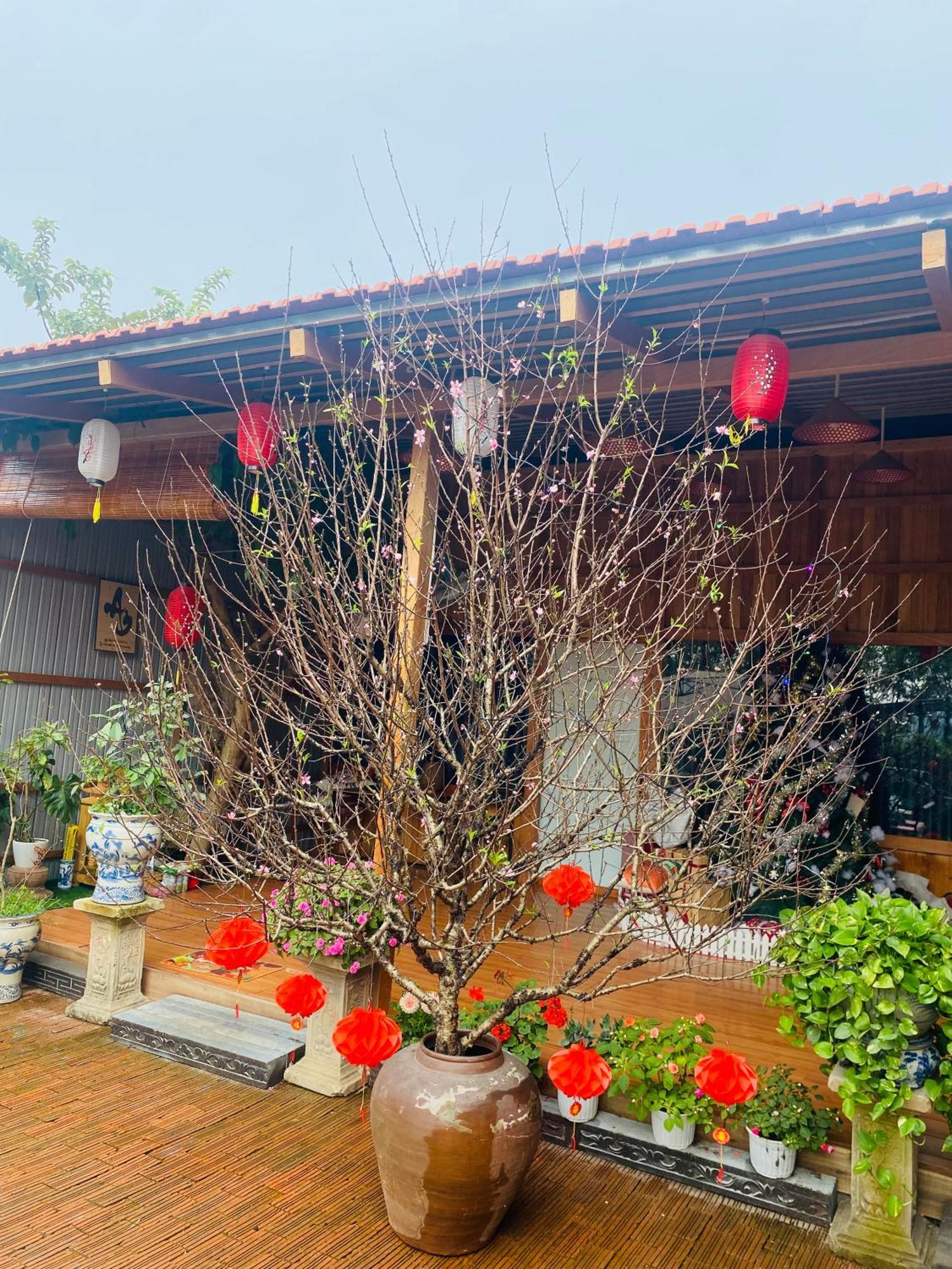 An Homestay Tam Coc ニンビン エクステリア 写真