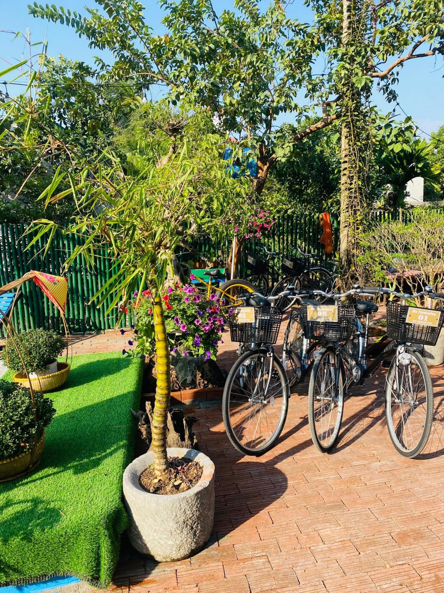 An Homestay Tam Coc ニンビン エクステリア 写真