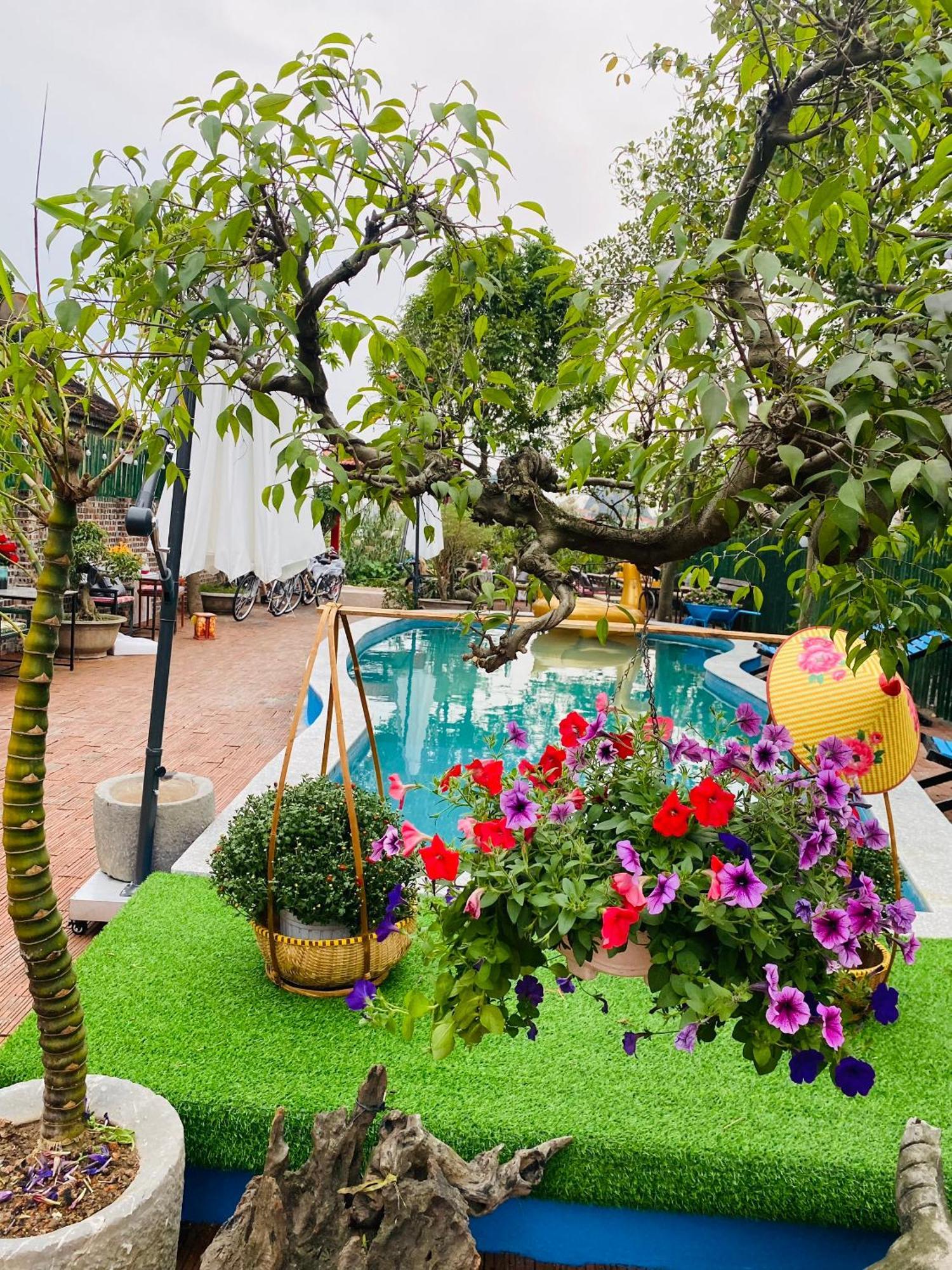 An Homestay Tam Coc ニンビン エクステリア 写真
